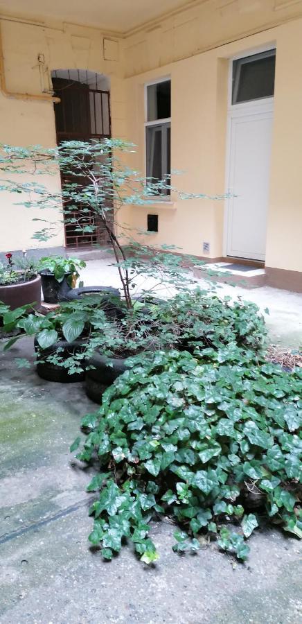 Little-Oasis Apartment 布达佩斯 外观 照片