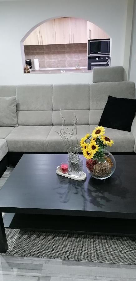 Little-Oasis Apartment 布达佩斯 外观 照片